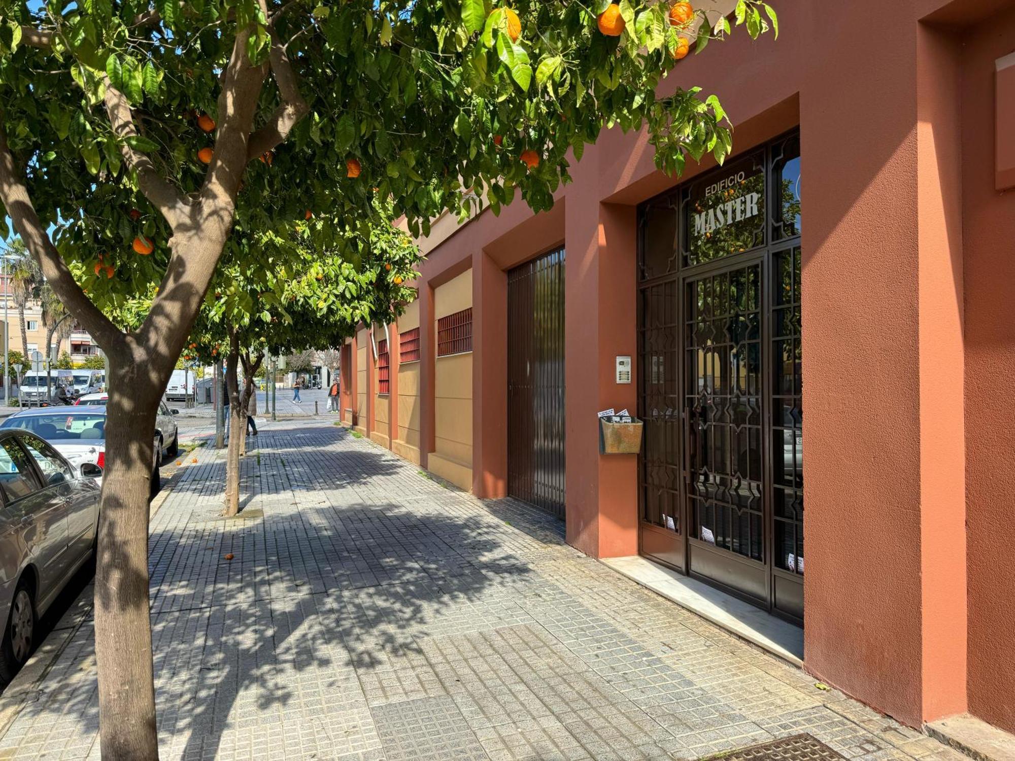 Apartamento Maria La Judia Córdova Exterior foto